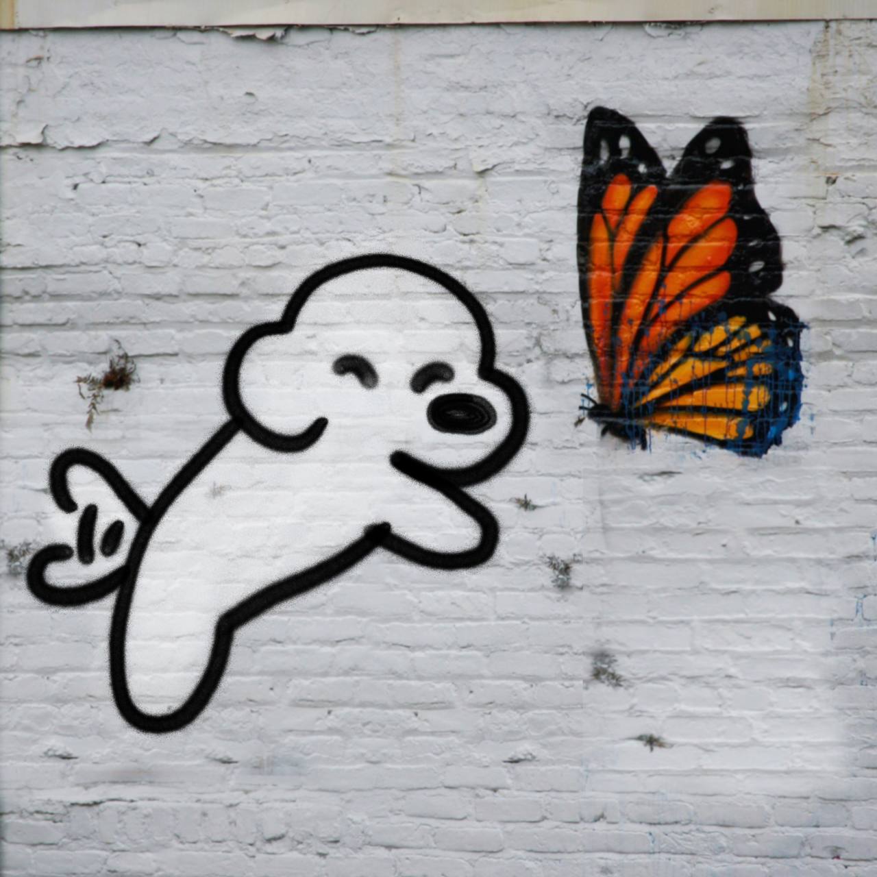Butterflies